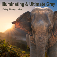 Illuminating - Ultimate Gray 1400sq